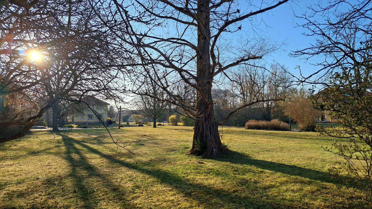 Leibniz IPK (@leibnizipk) on Twitter photo Mit einem morgendlichen Gruß vom Campus des <a href="/LeibnizIPK/">Leibniz IPK</a> allen einen guten Start in den Tag und danach ein erholsames Wochenende! Mit einem morgendlichen Gruß vom Campus des <a href="/LeibnizIPK/">Leibniz IPK</a> allen einen guten Start in den Tag und danach ein erholsames Wochenende!