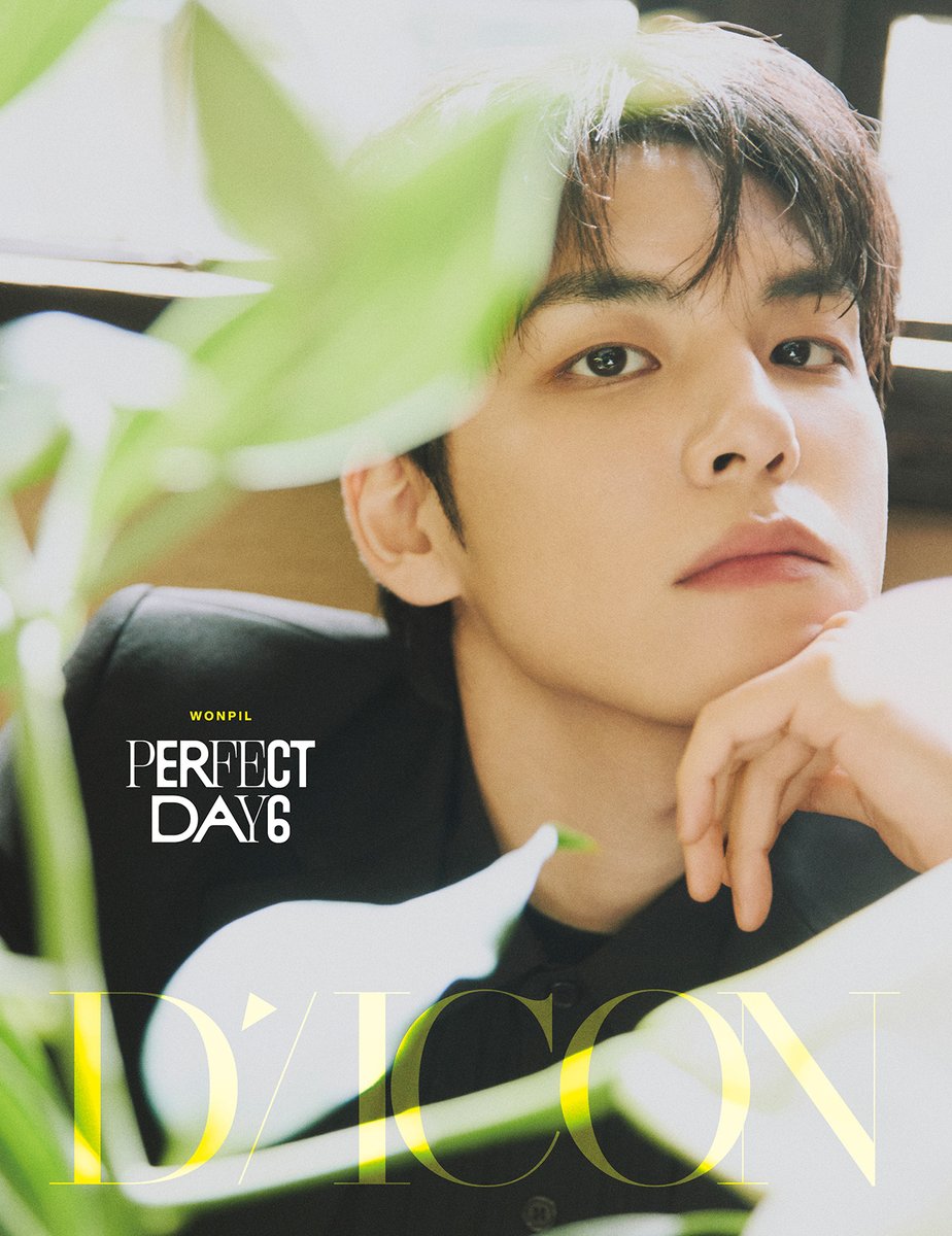 DAY6 DICON 写真集 タイプA ウォンピル 光文社 K-POP部【公式】 on X: