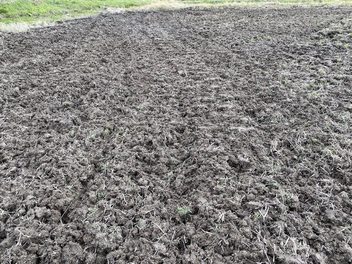 coco_sasayama's tweet image. まだまだ寒い日が続いていますがお米の準備進めています。

今日はトラクターで耕しました。
土を柔らかくし、微生物の活動が活発になることでよく肥えた土になります。

冬眠から目覚めたカエルの鳴き声がちらほら聞こえてきます。