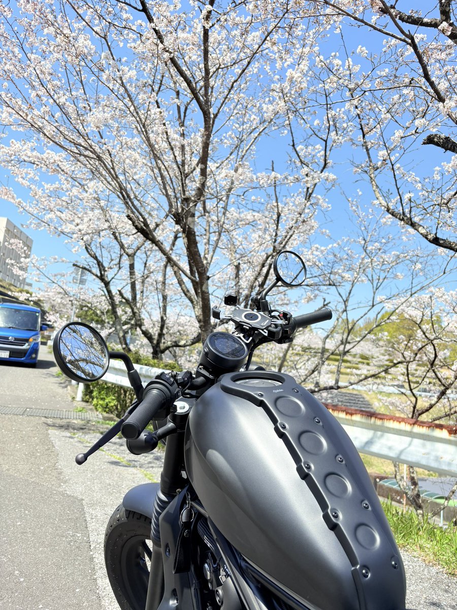 tkya1324's tweet photo. 名前 : miyanaka
年齢 : 26
性別 : 男
身長 : 160㌢
住み : 高知
愛車 : レブル500
一言 カスタムも増えてきて満足。今年はもっと遠出のツーリングをしていきたい。
綺麗な景色との愛車👍     更新ver.2
#バイク乗りと繋がりたい 
#バイク好きと繋がりたい
#バイク乗りとして軽く自己紹介 https://t.co/WWVTaCoLYP