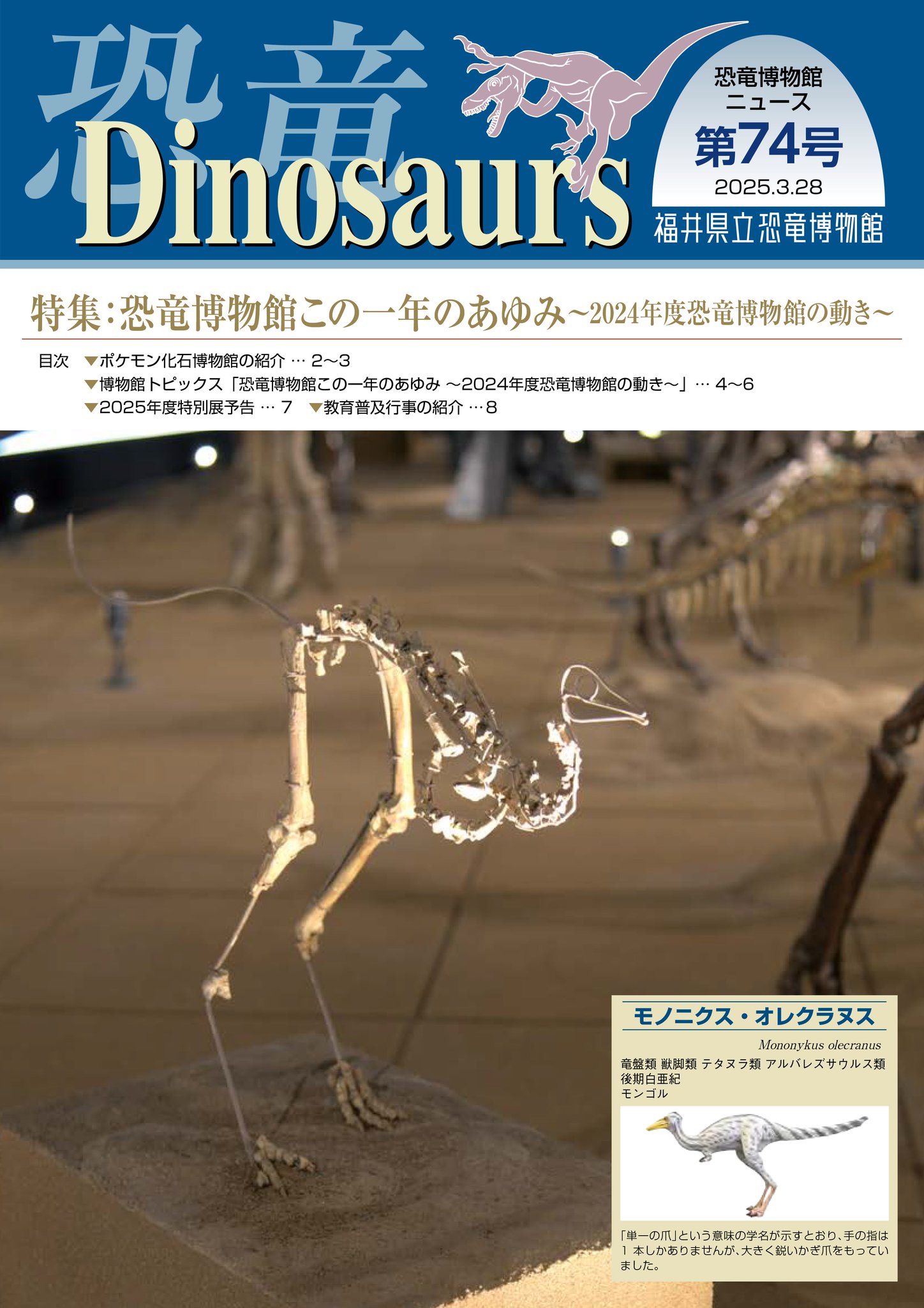 Amazon.co.jp: 博文館 日記 2025年 B6 中型当用日記 背皮 No.2