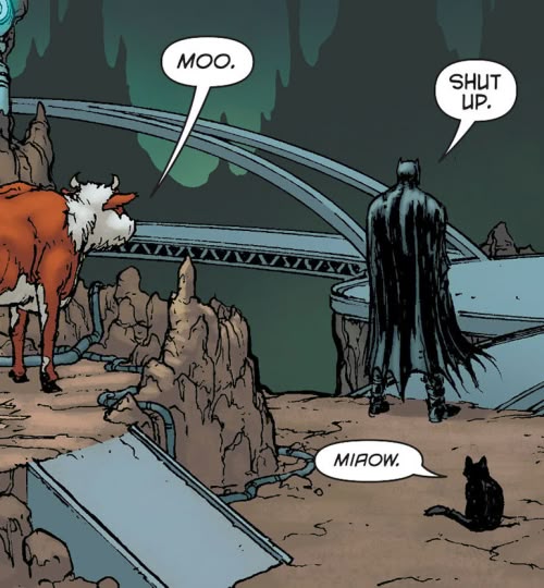DynamoSuperX's tweet image. this batman panel is so fucking funny without context. 💀💀💀