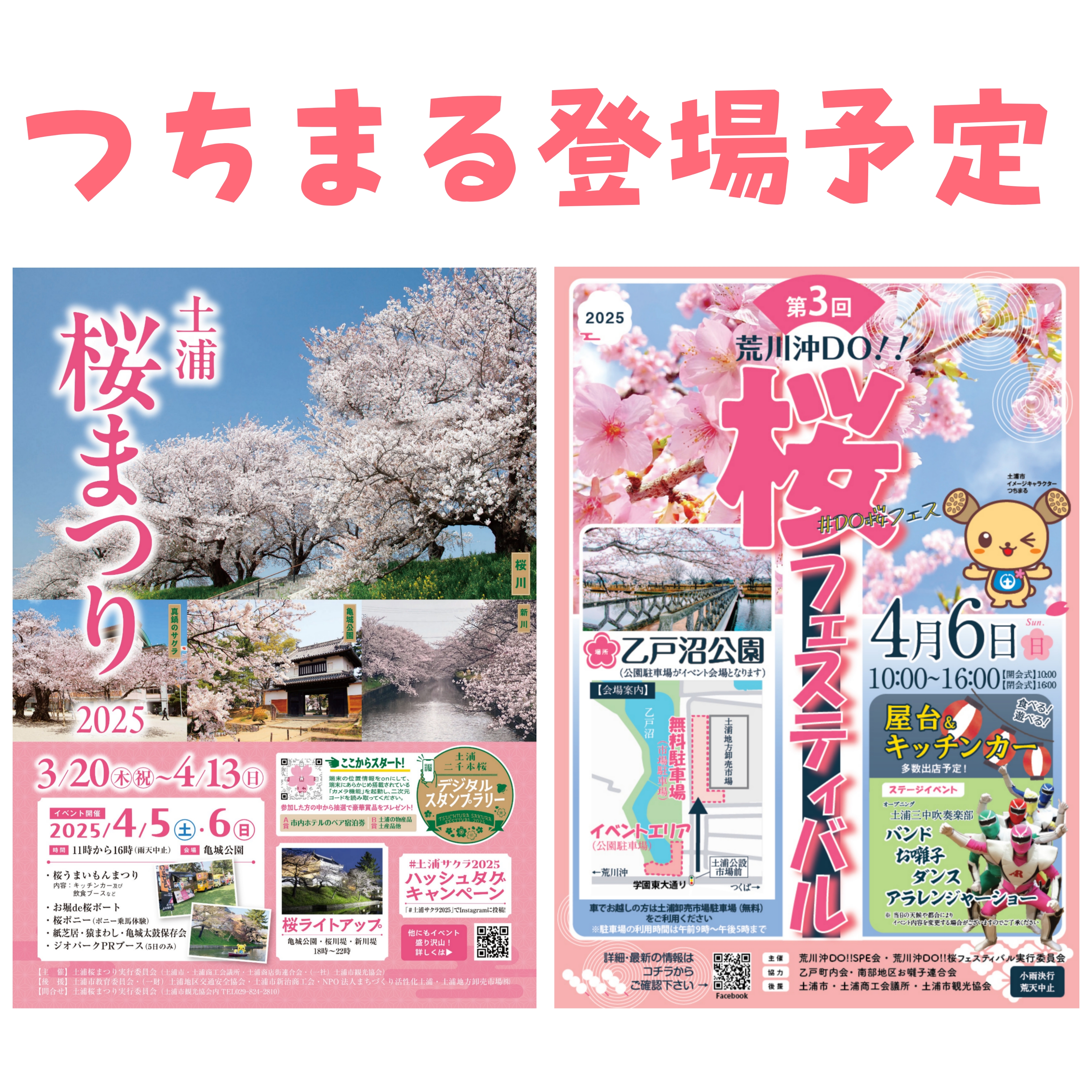 熱海では早くもお花見の季節がやって来ました 日本一早く開花