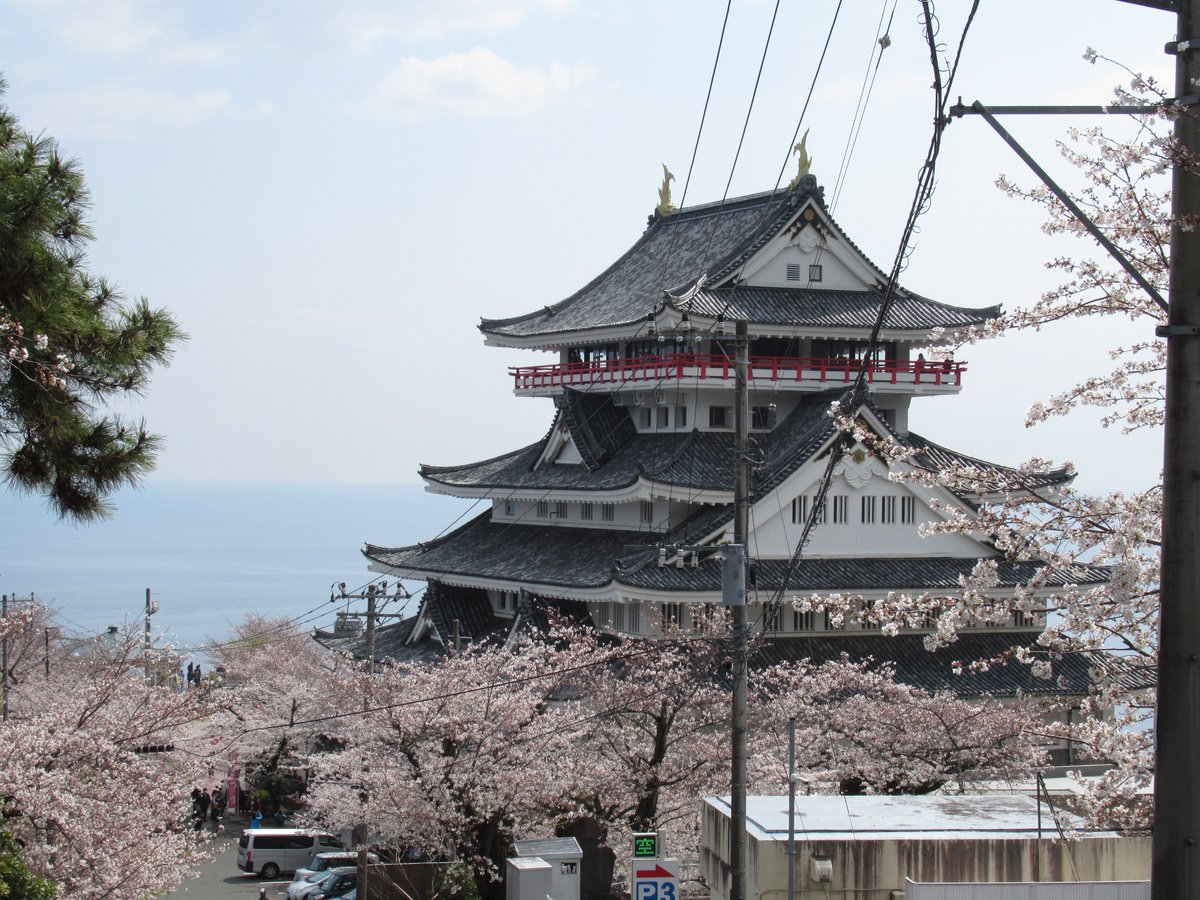 AtamiCastle's tweet image. 熱海城さくら開花状況です。本日お城の前は満開です。庭園は手前ほぼ満開、奥は3分咲きです。桜まつりも6日で終了の為、 夜桜営業は庭園の桜がなかなか咲きませんが明日1日だけでも夜桜営業を行います。#熱海城 #熱海 #開花 #桜 #さくら #夜桜 #ソメイヨシノ #夜桜 #Atami #SAKURA #Atamicastle1570