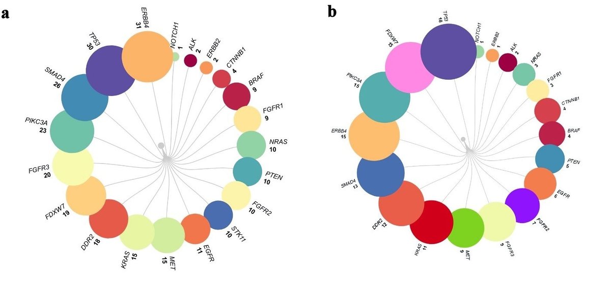 Actionable Mutations and Survival Rates in #NonSmallCell #LungCancer
wjon.elmerpub.com/wjon/article/v…