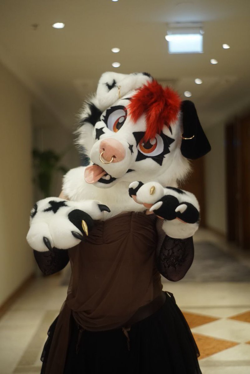 🌿Fern and Fallow𐂂 tweet media