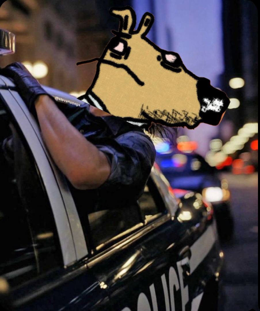 Just a Solana Guy | SOLGUY tweet media