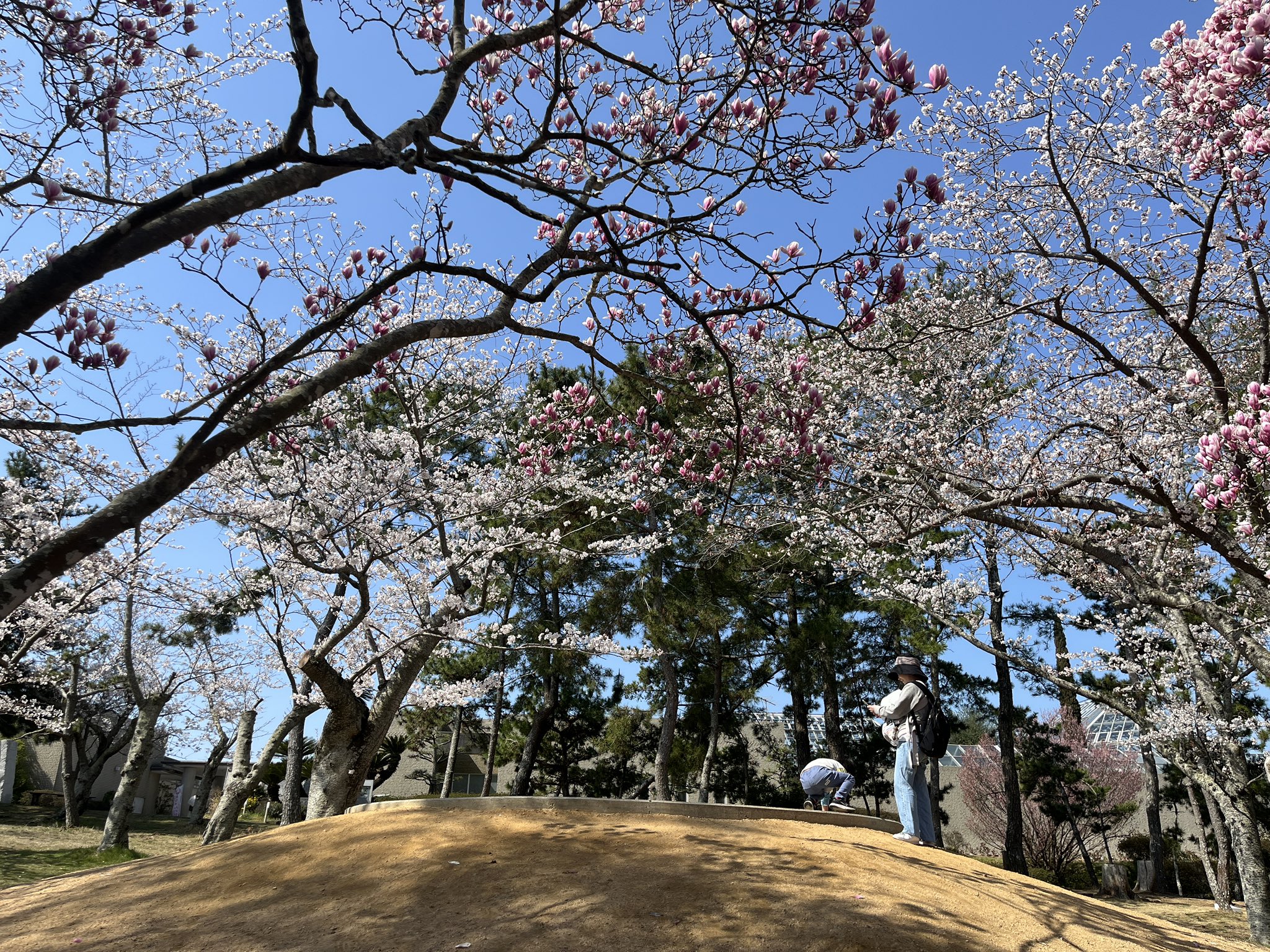 ときわ公園【公式】 (@tokiwakouen) / X