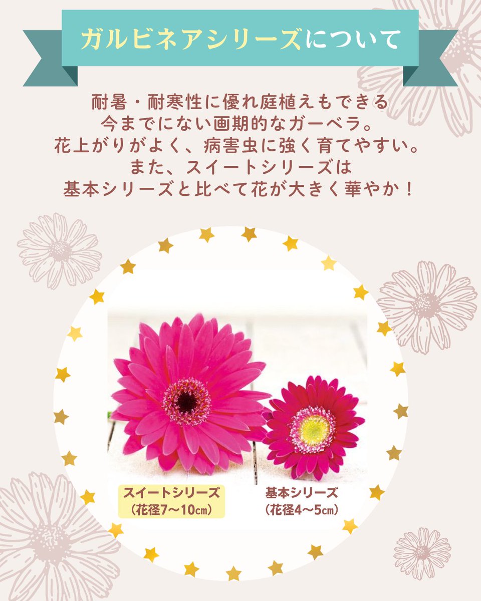 タネのタキイ通販🍅（公式） on X