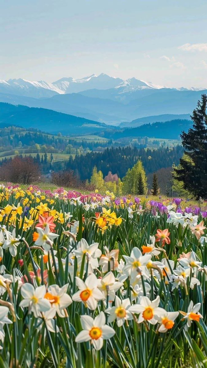 AnayaCugh's tweet photo. Good morning https://t.co/UK81QJDJ39