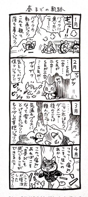 4コマ漫画「ネコ☆ライダー」
春までの軌跡🏍️🐈️ 