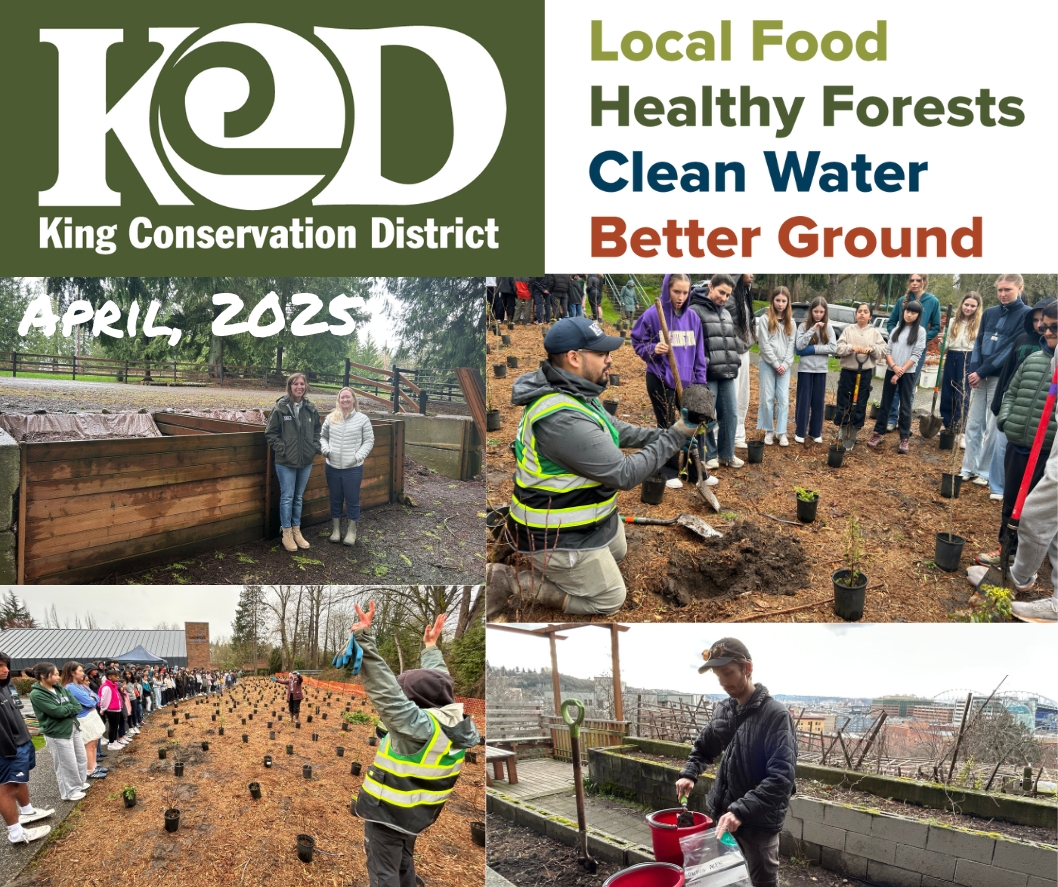 KCD April News and Highlights - mailchi.mp/kingcd.org/oct…