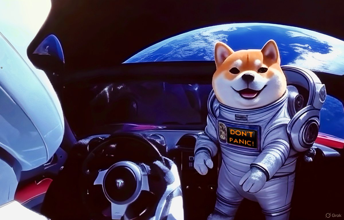 cyn_dogelover's tweet image. @grok found it hanging out with a doge 🐕 🚀
