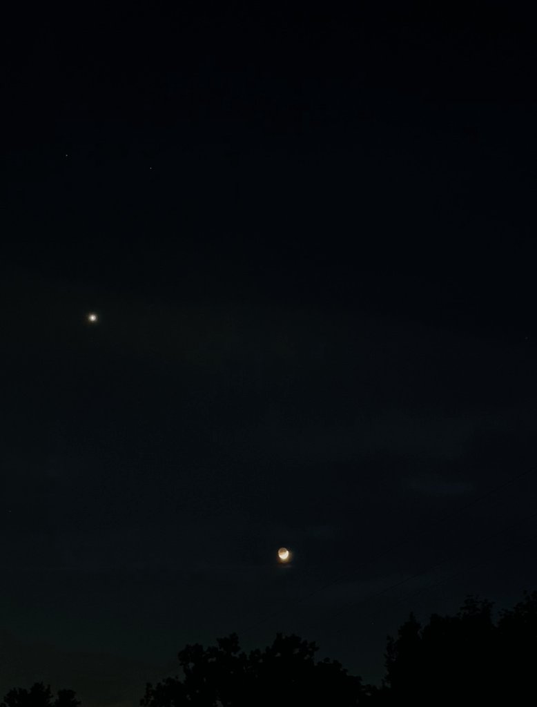 Betty Botticelli tweet media