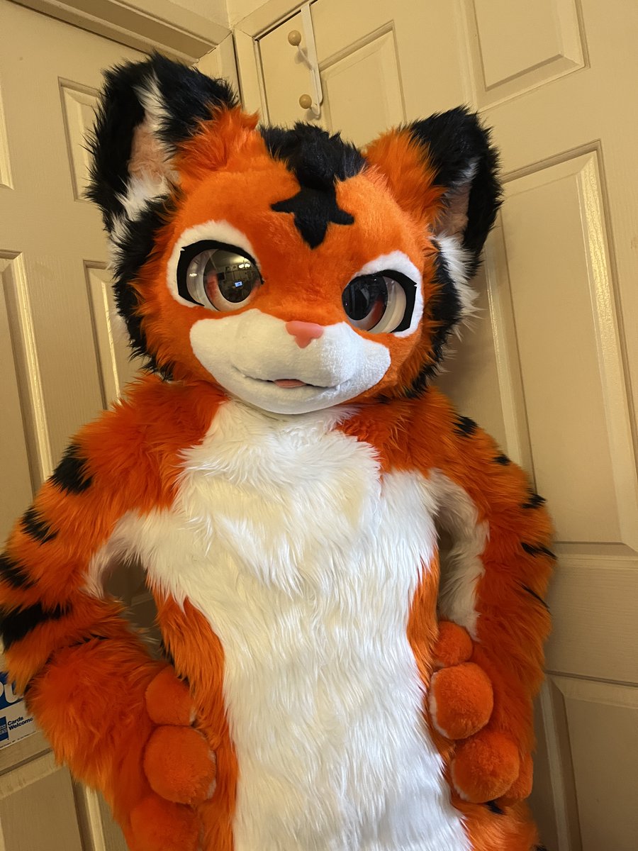 🐯Flāmie Tiger- Plush/Dragon🐯 (@transformtiger) on Twitter photo Say hello to Flāmie, made by <a href="/MofuMofuFursuit/">mofumofufursuitstudio</a>!
I've been wanting to commission this maker for a long time. Their quality is amazing, and got every detail of her design right 🧡
Can't wait for more adventures with this orange!
#FursuitFriday Say hello to Flāmie, made by <a href="/MofuMofuFursuit/">mofumofufursuitstudio</a>!
I've been wanting to commission this maker for a long time. Their quality is amazing, and got every detail of her design right 🧡
Can't wait for more adventures with this orange!
#FursuitFriday