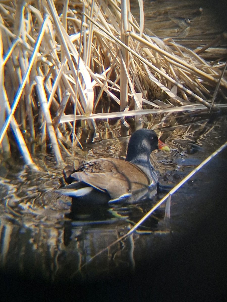 다들 수고 많았어 사랑해 이제 정말 봄이야 곧 너희들도 살기 좋은 세상이 올거야💐🍀💛