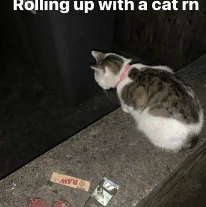 BrendanDaGawd's tweet image. ㅤ