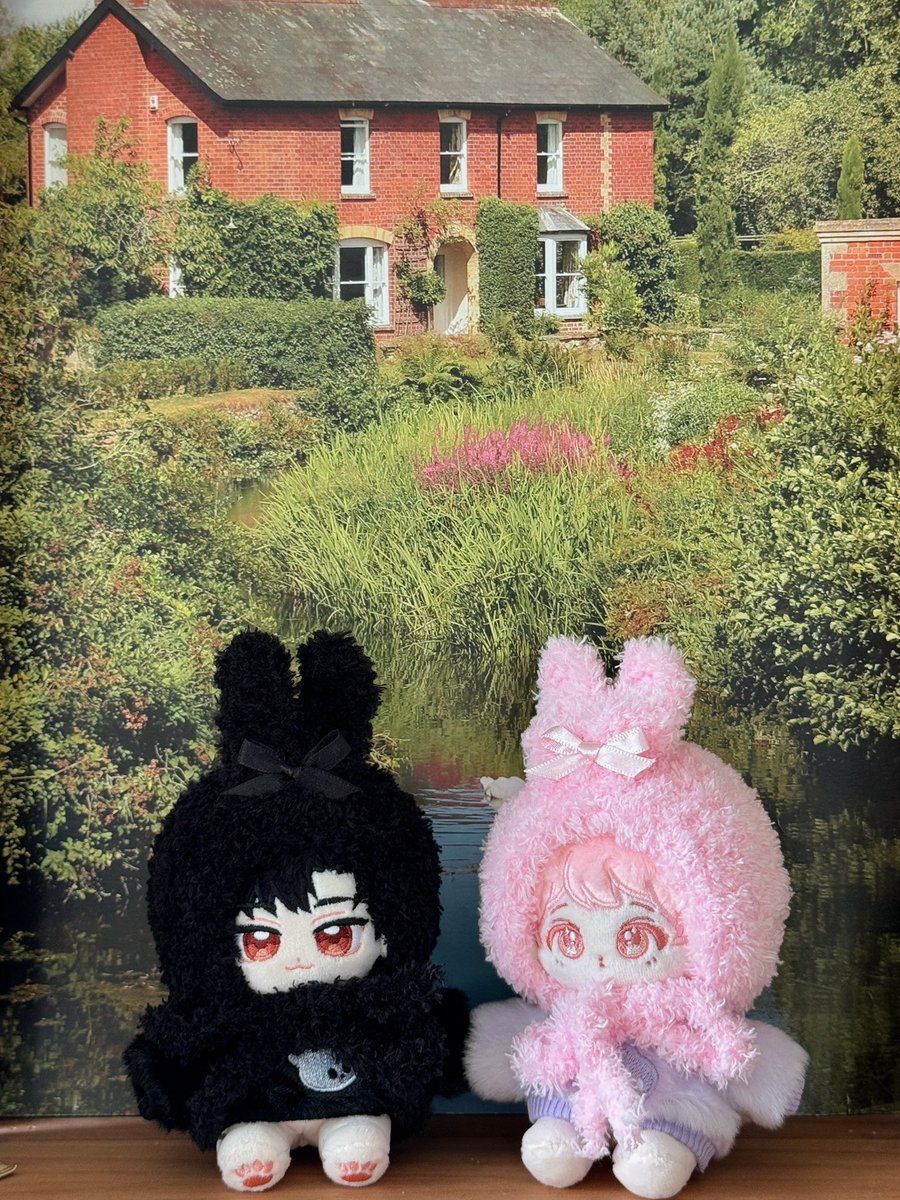 ˚✧₊⁎ 𝒕𝒐𝒓 ⁎⁺˳✧˚ tweet media