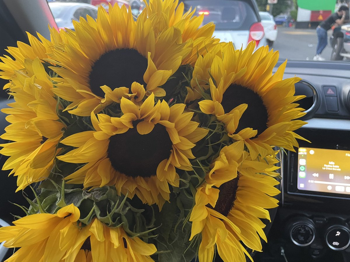 🧚🏼‍♂️🌻🐝✨