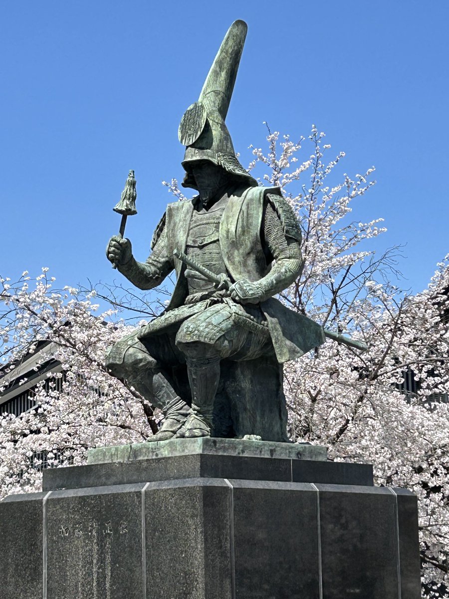 名古屋城界隈を散歩してきました。中に入らなくても多くの桜が見れます。暖かくて気分一新です☺️