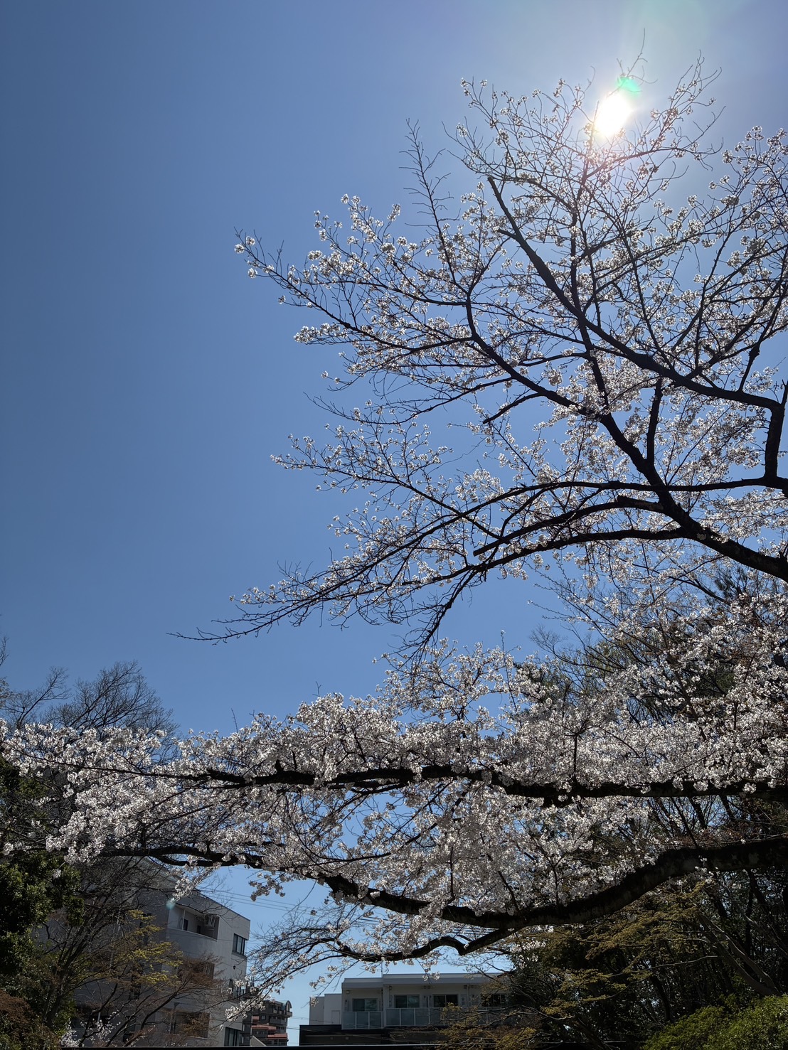 南山大学外国語学部英米学科 (@nanzaneibei) / X