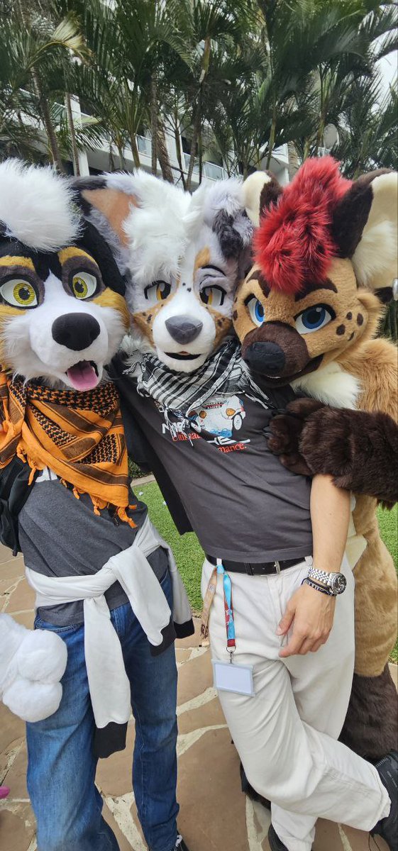 Found a couple of stray dogs 🥰 <a href="/FurDUcon/">FurDU</a>

@vir08087 
<a href="/KhakiCollie/">Khaki-Collie</a> 

🪡 <a href="/StudioPinali/">Studio Pinali</a>