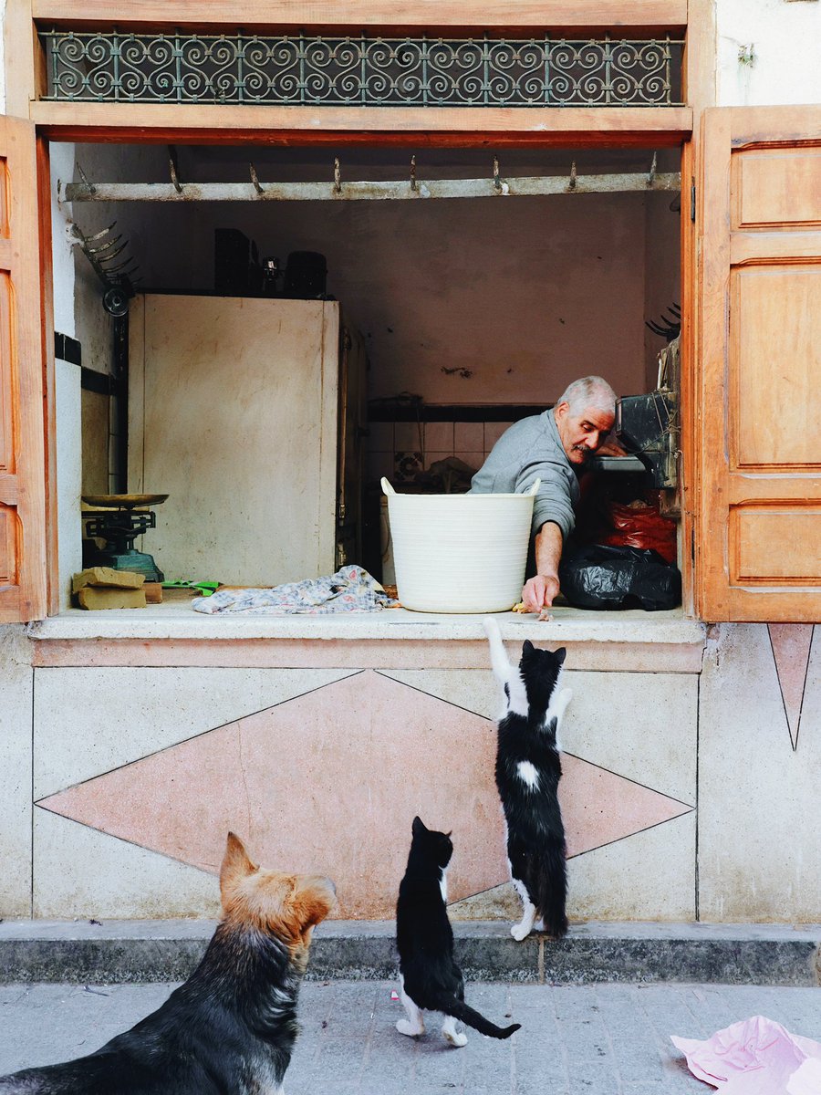 Natsuho Yamanaka tweet media