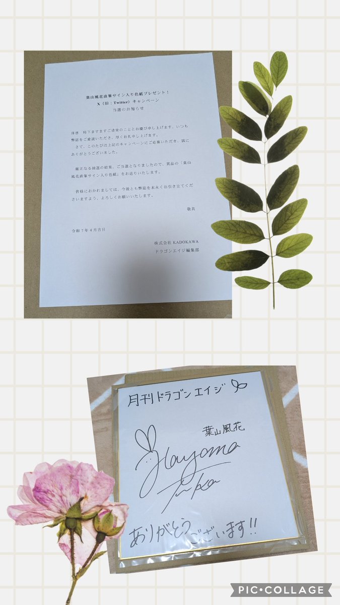 ラブカ 葉山風花 PE＋ サイン ラブカ 葉山風花 徒町小鈴 PE+ サイン エネルギーカード - メルカリ