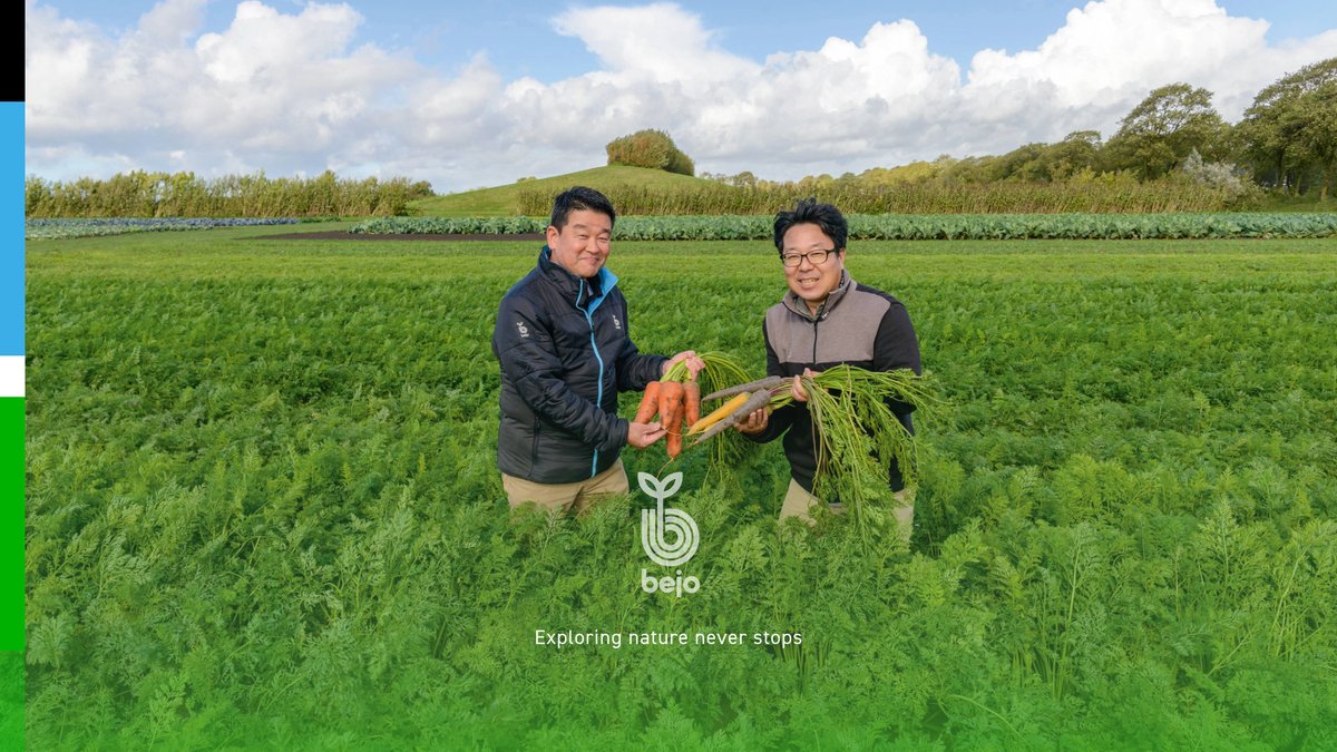 🥕 It’s International Carrot Day! A moment to celebrate this versatile vegetable in all its shapes, colours, and flavours. From fresh market to processing, our wide range of carrot varieties supports growers worldwide. 🌎🌱 

#carrot #bejo #internationalcarrotday