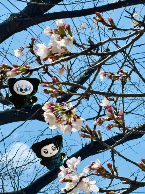 職場近くのがようやく良い感じちみちゃんはお留守番なのでステッカーのエアちみちゃん 