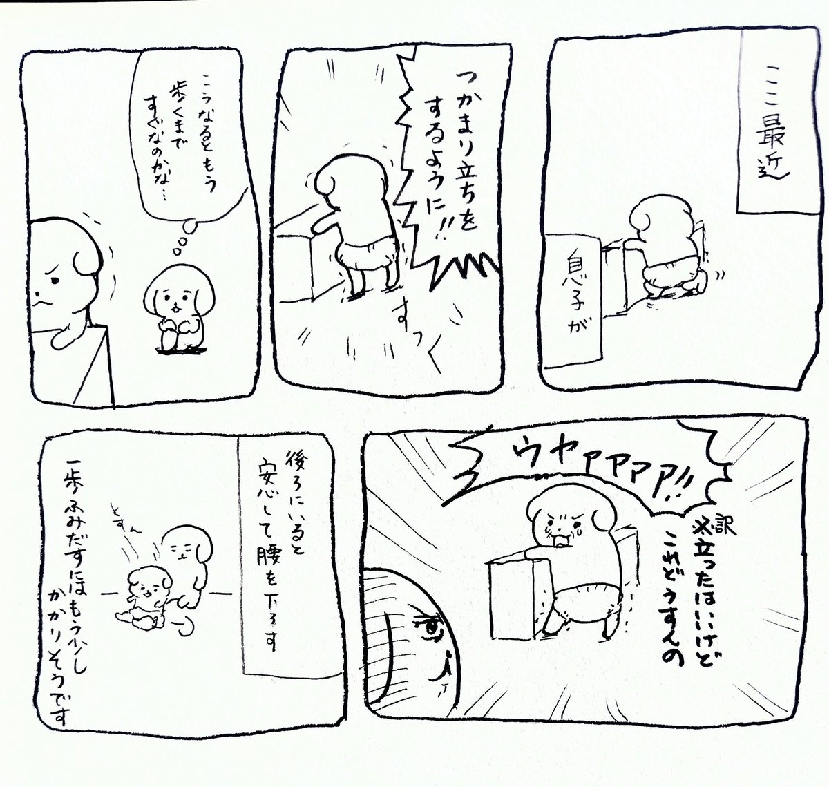 最近の息子マンガ 