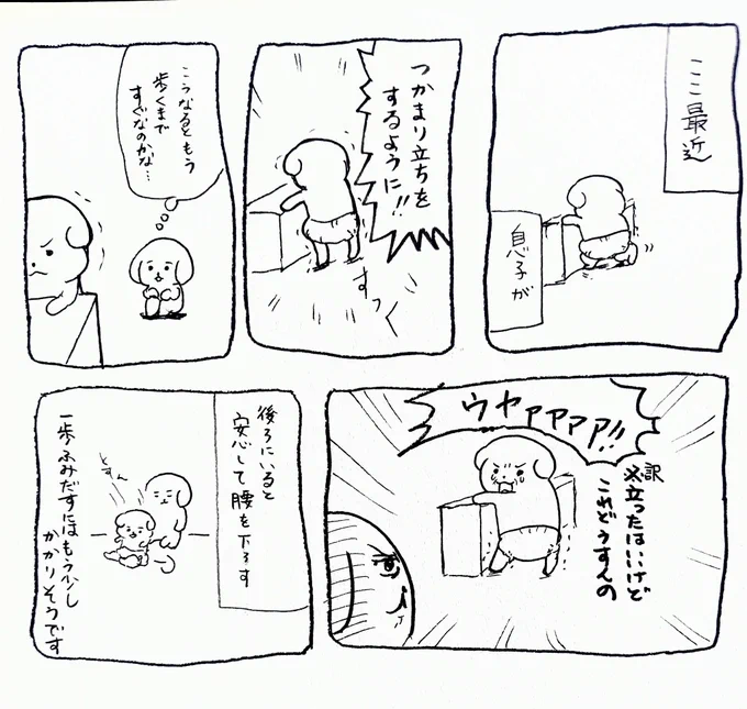 最近の息子マンガ 