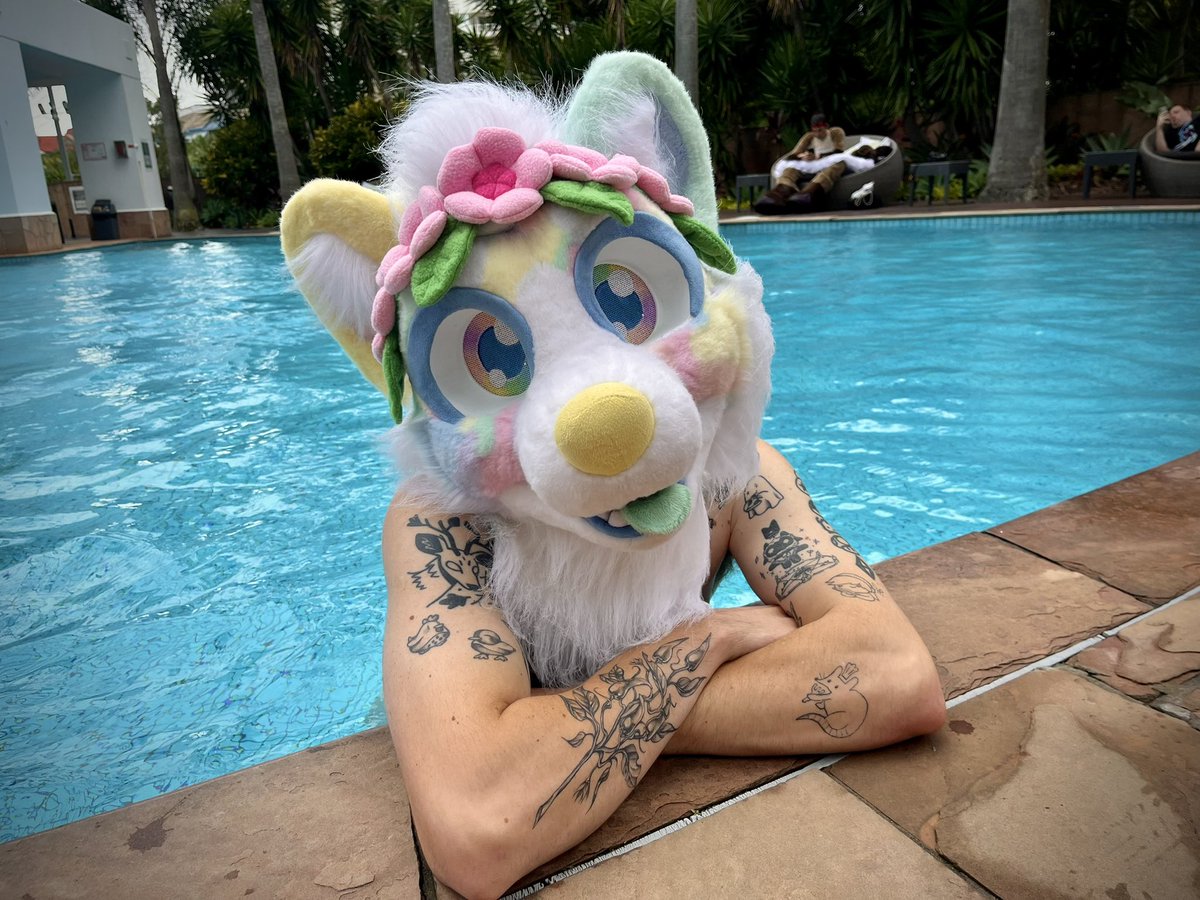 august ๐ // jasper ๐ฆ (@august_jasper_) on Twitter photo waterโs fine, whoโs coming for a dip in the pool with me at #furdu2025?~ ๐๏ธ
๐ธ <a href="/Blurbbub/">Slothy ๐ Aurawra '25</a>
#furry #fursuit #FursuitFriday #furdu waterโs fine, whoโs coming for a dip in the pool with me at #furdu2025?~ ๐๏ธ
๐ธ <a href="/Blurbbub/">Slothy ๐ Aurawra '25</a>
#furry #fursuit #FursuitFriday #furdu