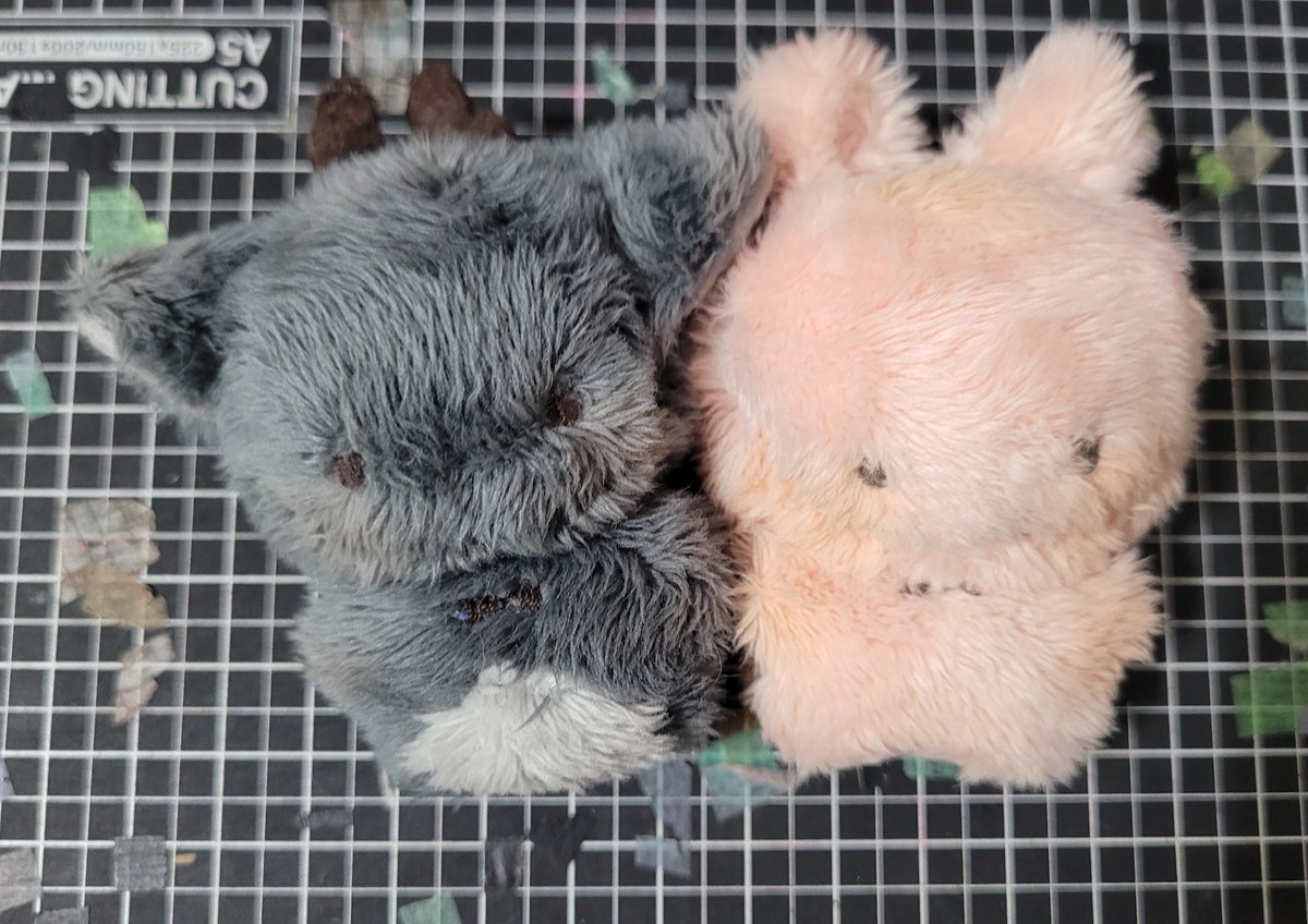 #rt #괴담출근 #브라운 #김솔음 
탄핵기념 rt 추첨으로 두 분 뽑아서 비공식 동물5깅  
 아직 폼 제작도 안 된 착한친구 김솔음 ver. or 착한친구 브라운 ver. 
둘 중 하나 택 하여 제작해드립니다. 괴담출근을 모르시더라도 인형에 관심 있으시다면 참여 마음 것 가능하십니다
단 솗븗리버스 참여×