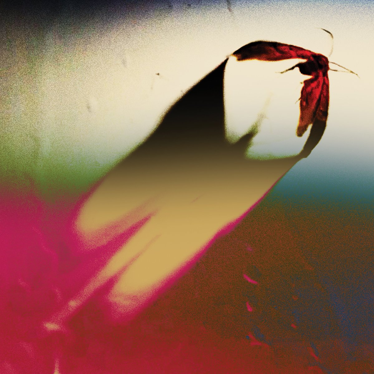 Scowl40831's tweet image. Our new album ‘Are We All Angels’ is out now 🪽
We dug deep and experimented on this one in so many ways we haven’t before, and we’re so glad to have you all along for the ride. Give it a spin and let us know what resonates 🌼
scowl.lnk.to/are-we-all-ang…