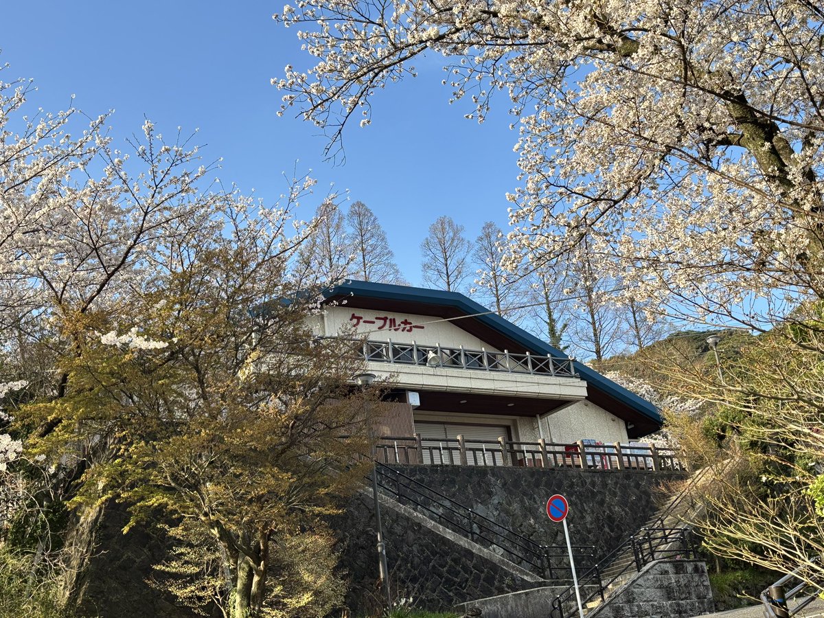 sarakuracable's tweet image. 2025年4月4月(金)
皿倉山ケーブルカー山麓駅周辺の桜も満開です🌸✨
お天気が続きそうですので、お弁当を持ってピクニックでもいかがでしょうか☺️
#皿倉山ケーブルカー
#桜