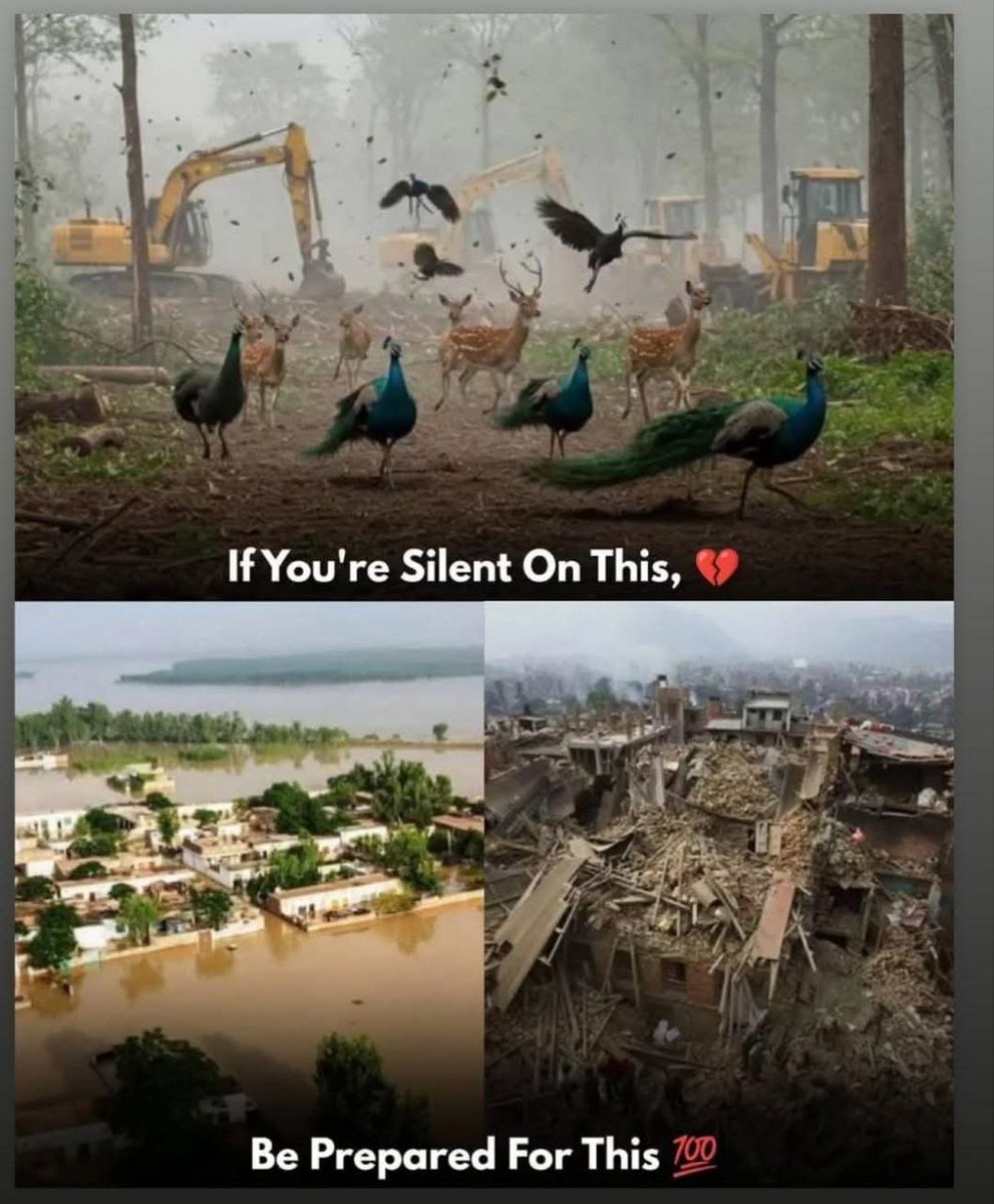 RaviVer39609808's tweet photo. ✅✅ 💔💔😷🥲🥲
#hydrabad https://t.co/JBn9Y1ZTKL