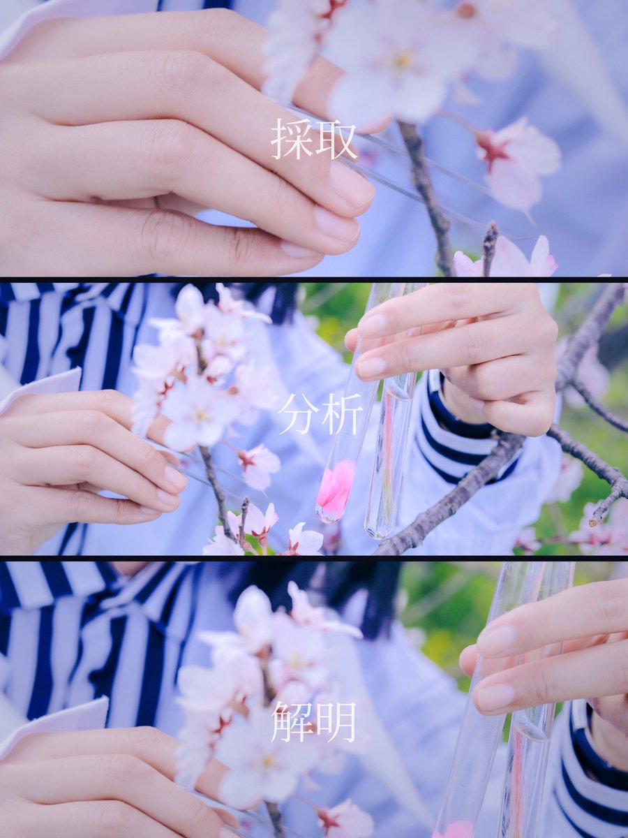春なのにアイコンが物騒なので桜背景の綺麗な写真に変えるか〜!と去年の写真を探していたら
中々の癖強変態サイエンティスト先生🧪が現れたのでアイコンするには使えず、ここで再掲供養することとします!🤣🌸