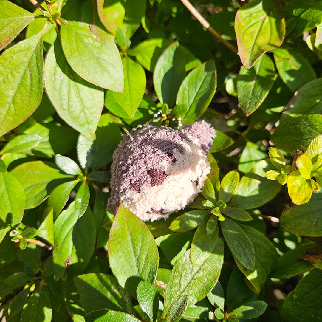 RT 이벤트🔥

뜻을 함께한 모든 분들 참여 가능

지금까지의 근심 걱정이 오늘 훨훨 날아갔길 바라며 
알티 추첨 한분께 뜨개짹짹이를 보내드리겠습니다

(원하는 거 택 1)