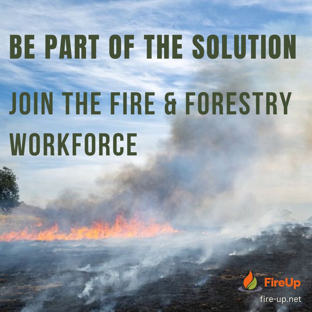 Shefali J Lakhina tweet media