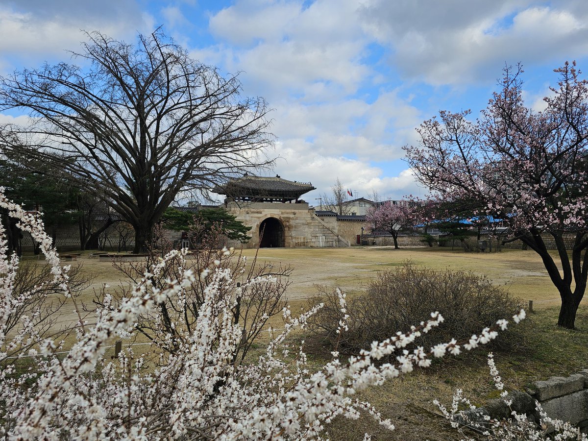 <🌸꽃길 걷는 경복궁🌸>

봄꽃이 활짝 핀 경복궁입니다.

우리들의 모든 일상이 

따뜻한 봄날 같기를 소망합니다.

#경복궁 #봄꽃 #봄날 #새봄 #꽃길