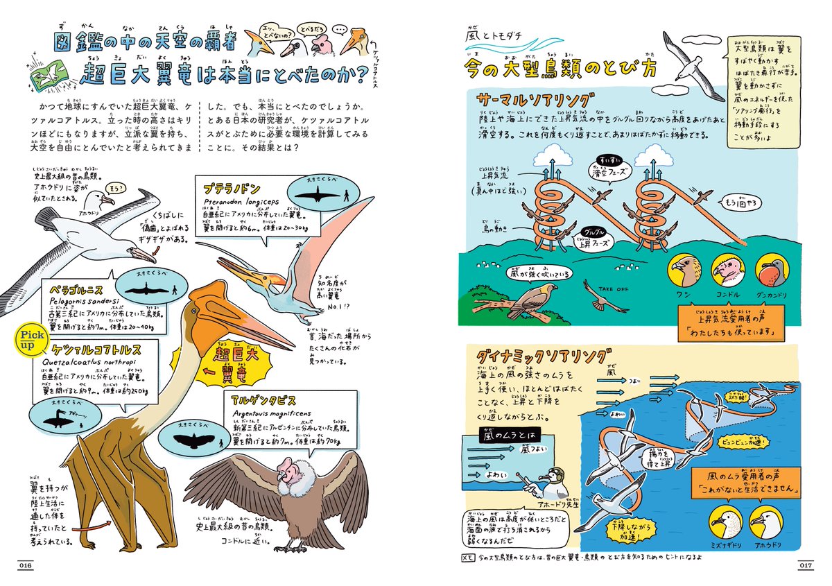 chimomonga's tweet image. 【書影出ました】
生き物の科学論文をオールカラーで図解で紹介した本ができました！たくさんの研究者の方にご協力いただいて完成した、生き物の生態とその理屈がわかる本です。

・ほぼすべてのページがイラスト
・読み仮名つきで、小学生から楽しめます
・全160ページ・やや大きめサイズ（B5版）…