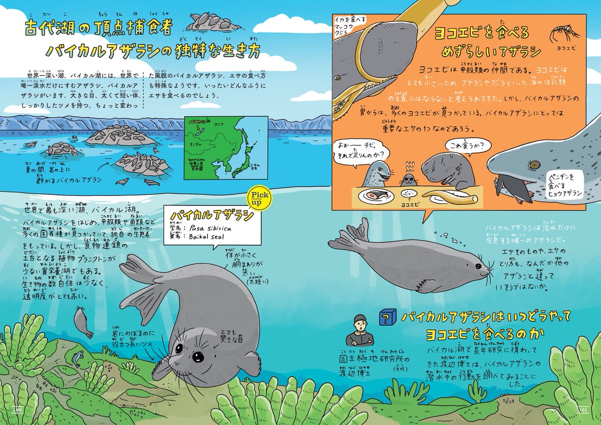 chimomonga's tweet image. 【書影出ました】
生き物の科学論文をオールカラーで図解で紹介した本ができました！たくさんの研究者の方にご協力いただいて完成した、生き物の生態とその理屈がわかる本です。

・ほぼすべてのページがイラスト
・読み仮名つきで、小学生から楽しめます
・全160ページ・やや大きめサイズ（B5版）…