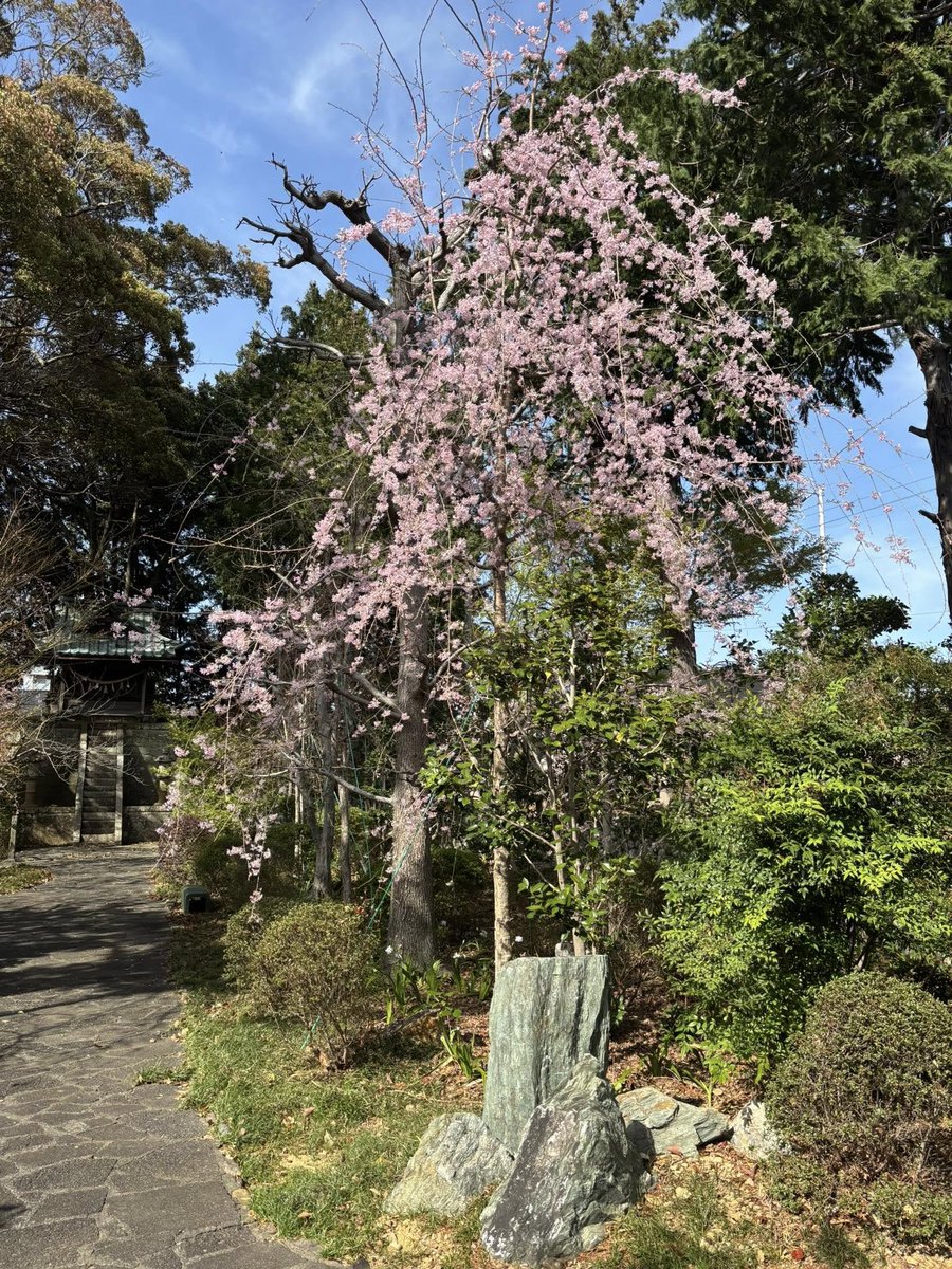 ふじわら なゆき tweet media