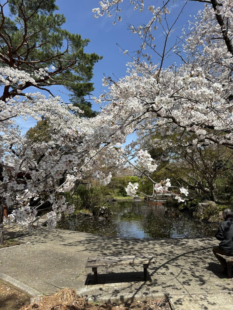 ふじわら なゆき tweet media