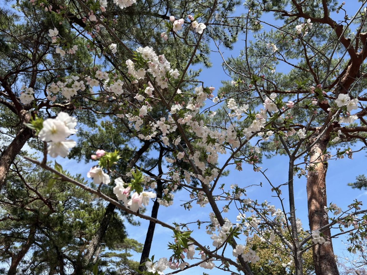 ふじわら なゆき tweet media