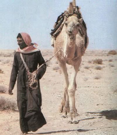 الدهر غير الحــــزن والهم ولاحد
سچاچينه ومشه ابضيمي ولاحد
ابنادم غــــير عافـــــــيته ولاحد
اليفيده ويصــبح ابدنياه تچيه