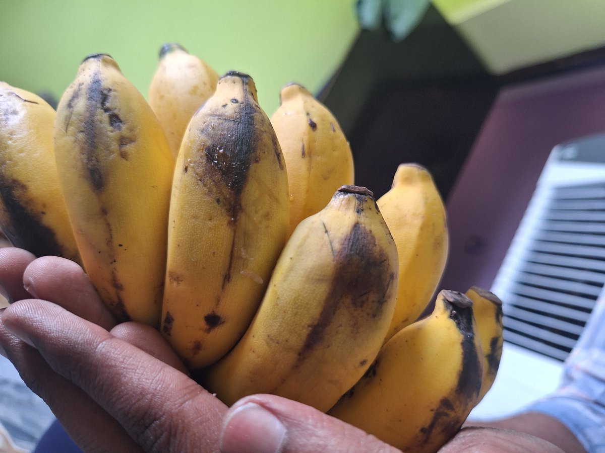 Again Ordered fresh bananas from <a href="/letsblinkit/">Blinkit</a> but received overly ripened ones that are barely edible. Disappointed with the quality this time. Please look into this and improve the quality check process. #Blinkit #CustomerFeedback
