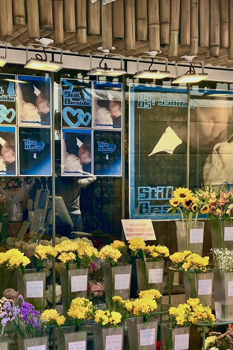 ➸ 
𝐒𝐭𝐢𝐥𝐥, 𝐁𝐞𝐬𝐢𝐝𝐞
: 𝐼 𝑤𝑎𝑛𝑛𝑎 𝑡𝑒𝑙𝑙 𝑦𝑜𝑢 - 

#20250405_ZIP 시작했습니다 !
올해도 즐겨주세요 - ! 🫧🐈‍⬛