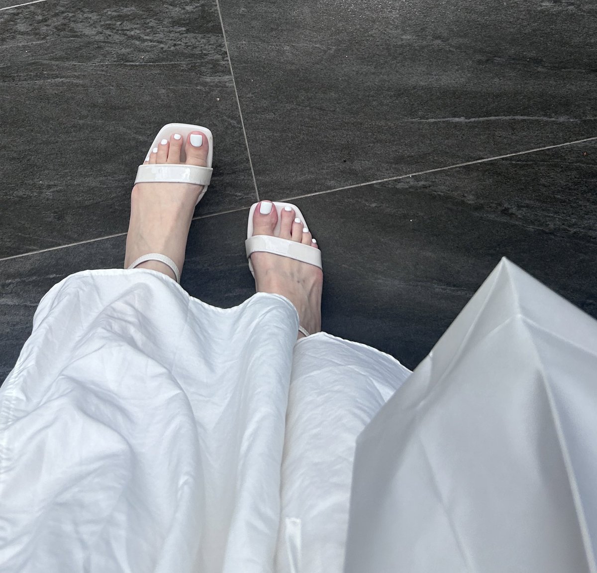 第一次帶新爪爪出來亮相✨